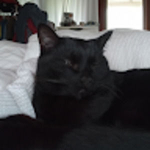 Meet your Posher, Poppy